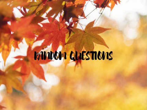 RANDOM QUESTIONS