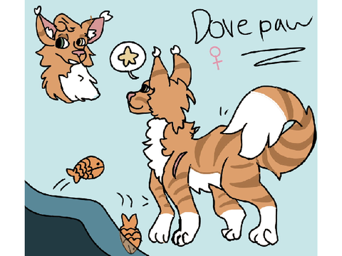 Dovepaw ref