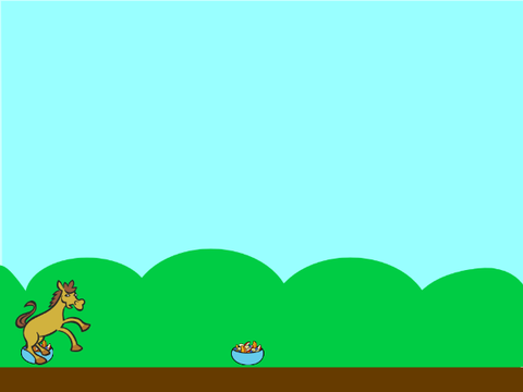 Horse Jumping
