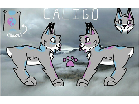 Caligo Redesign!