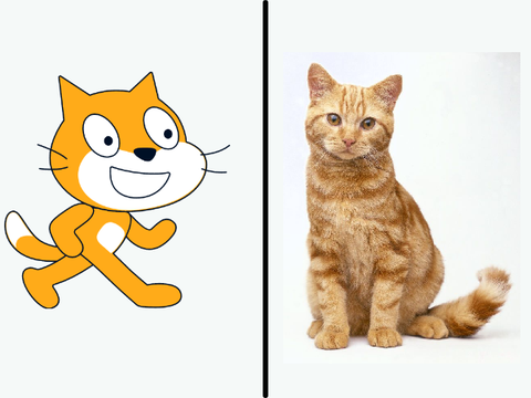 ScratchCat in real life...