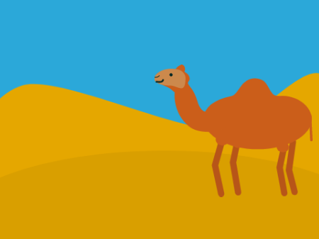 Camel Song