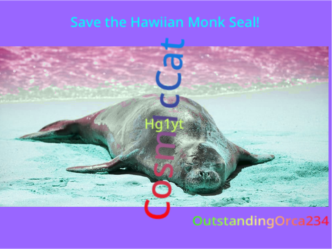 SAVE THE HAWIIAN MONK SEAL!!!!!-Cosm1cCat