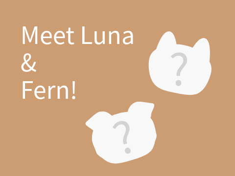 Meet Luna and Fern!