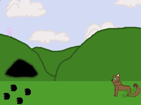 Warrior Cats: WildClan - !WIP!