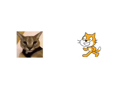 warning: sussy cat!