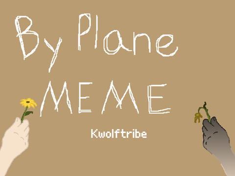 By Plane - Meme 