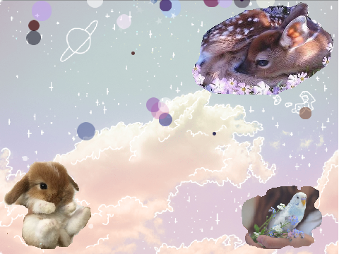 Baby animals