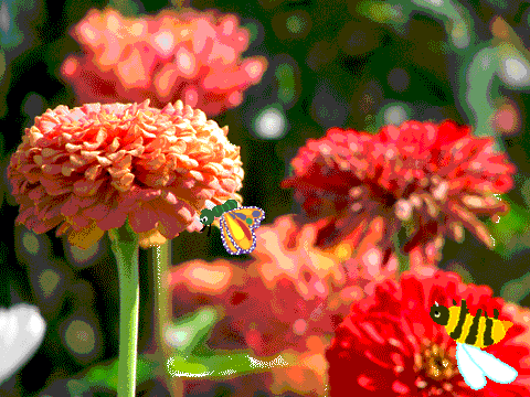 catch the butterfly before it catches you!!