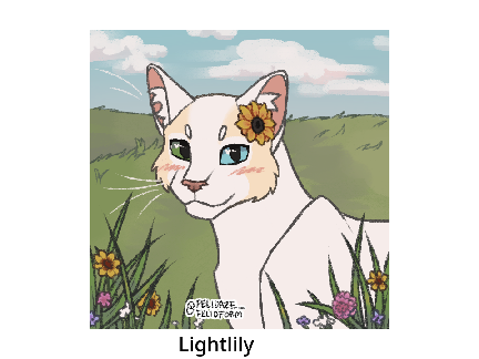 Warrior cat charecters