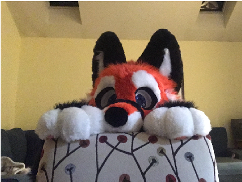 a cute boi appeared!