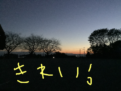 綺麗な景色