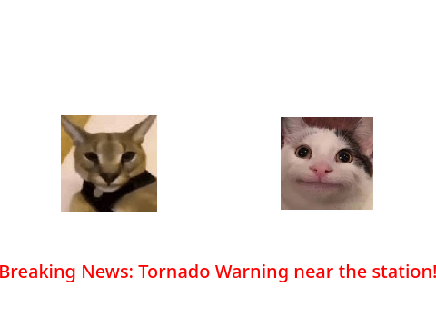 warning: sussy cat! part 2