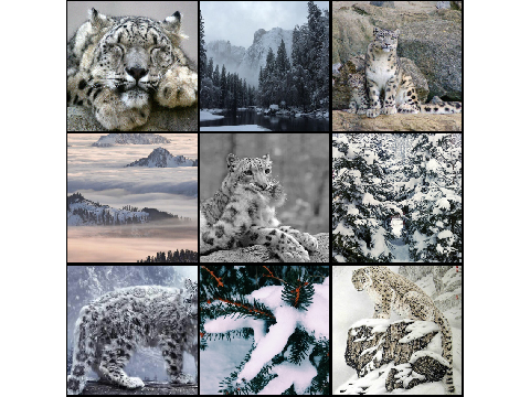 Moodboard for DT w/Elliot!