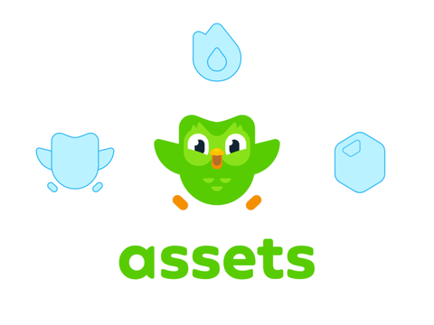 Vector Duolingo Assets