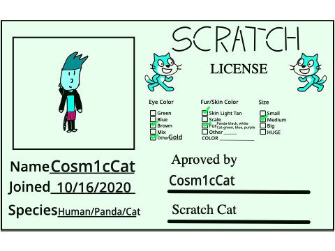 Make Your Own Scratch License-My Scratch License