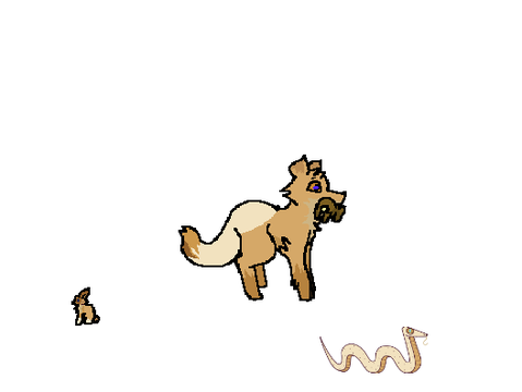 Aurora Wolf Wilderness remix