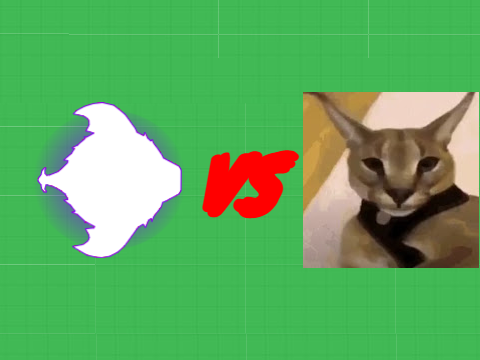 hecker vs anomaly 590