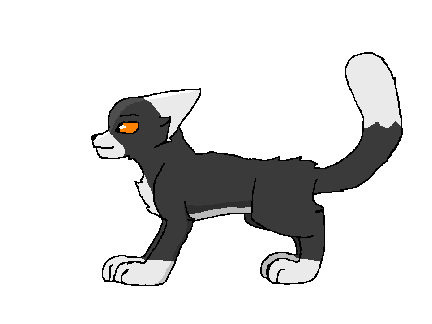 Project thumbnail