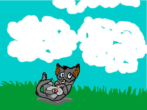 Animated Kitten 