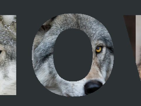 wolfs