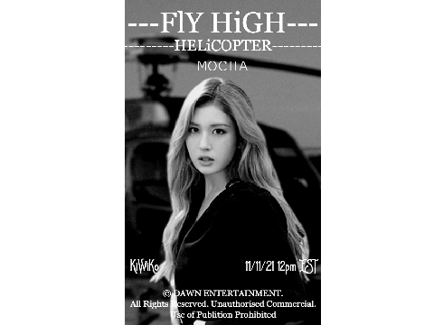 KiWiKo | FlY HiGH HELiCOPTER TEASER PIC #6