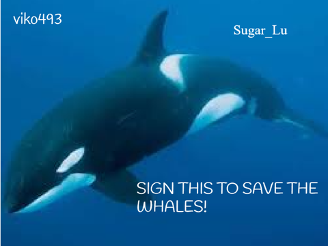 Remix and sign this to save the whales! remix