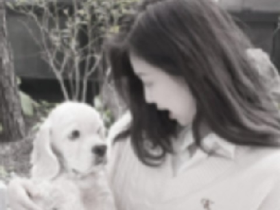 Project thumbnail