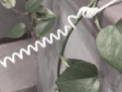 Project thumbnail