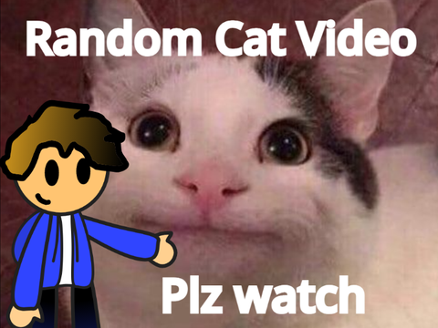 Random Cat Video