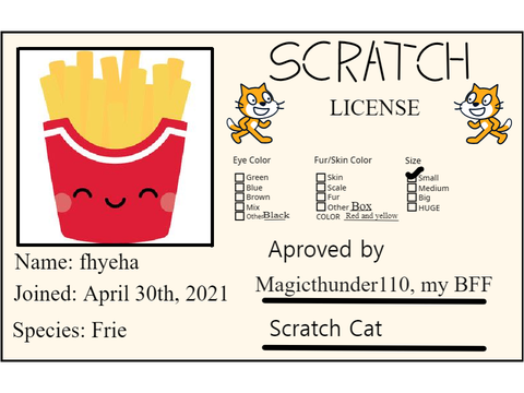 My scratch LICENCE!!!