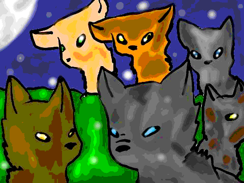 For StormSeeker, Skystar, and Fallenstar