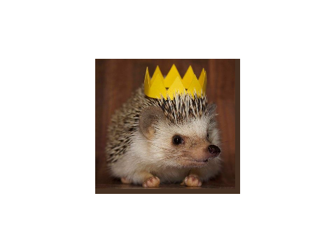 Soooo cuteee