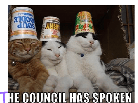 Hilarious cat memes