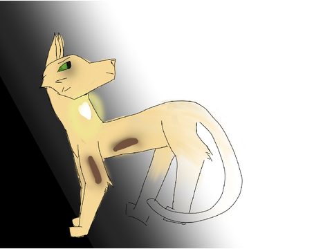 Sketch?