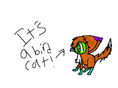 ITS A BIRD CAT!!! *OLD ART*