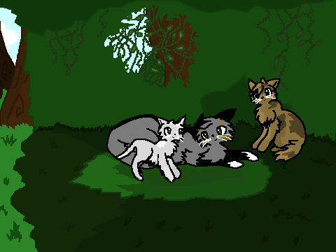 Life in Thunderclan!