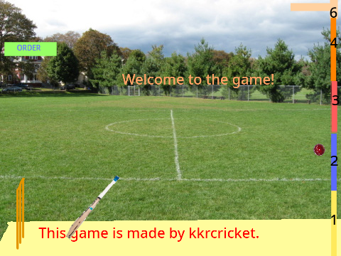 India Men's Cricket Game first and second batch mix