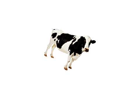 COW-culater