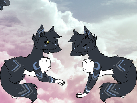 Moon Love - Warrior Cat (ANIMATED)