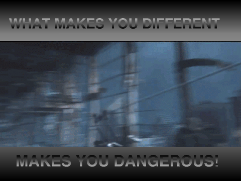 THG, Divergent, and other stuff