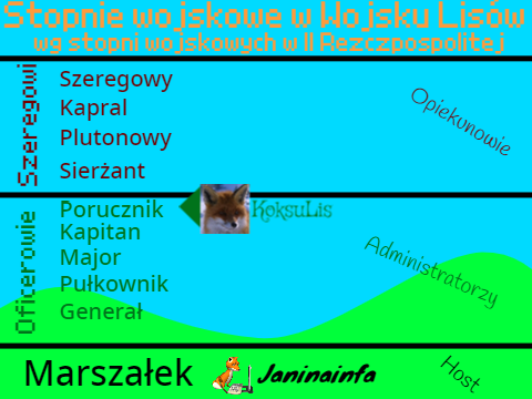 Stopnie w Wojsku Lisów