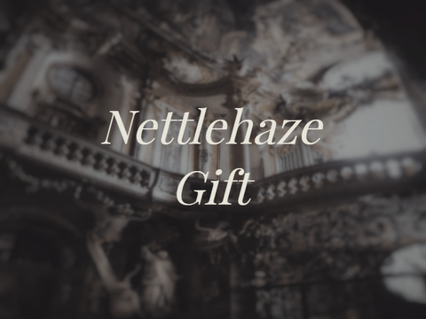 ➶ -͙˚ ❀ | nettlehaze . gift