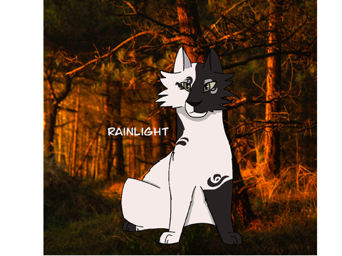 Rainlight of DawnClan