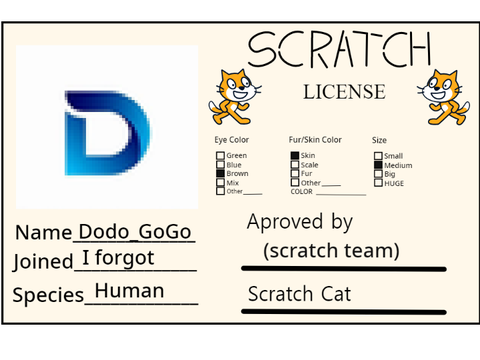 Scratch License