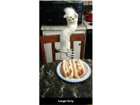 L o n g F u r b y