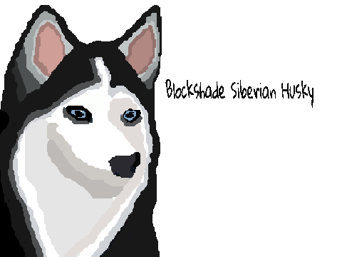 [Sparta Remix] Blockshade Siberian Husky Sparta Remix