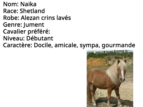Shetlands à vendre !!!