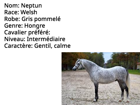 vente de poneys !!
