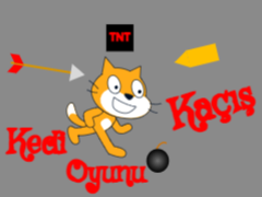 Kedi Kaçış Oyunu